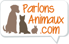 Parlons Animaux : les animaux ont la parole !